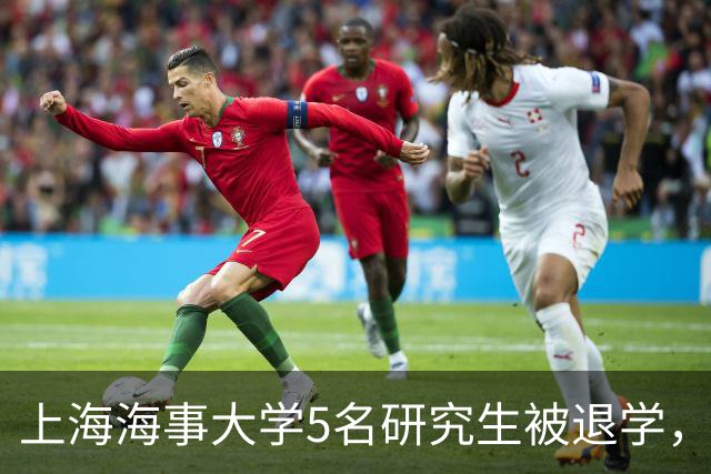 上海海事大学5名研究生被退学，原因揭晓，令不少家长感到无语