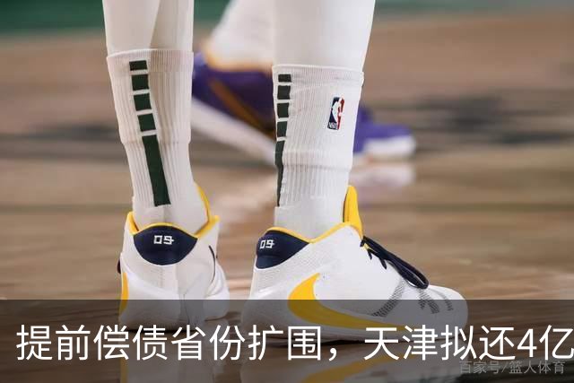 提前偿债省份扩围，天津拟还4亿元